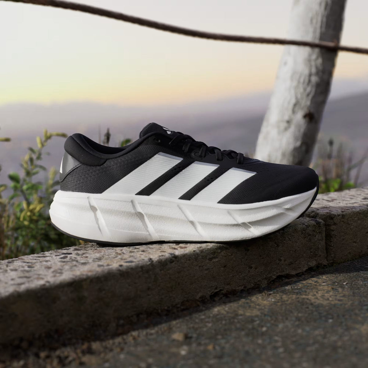 Adidas Questar Negro / Blanco